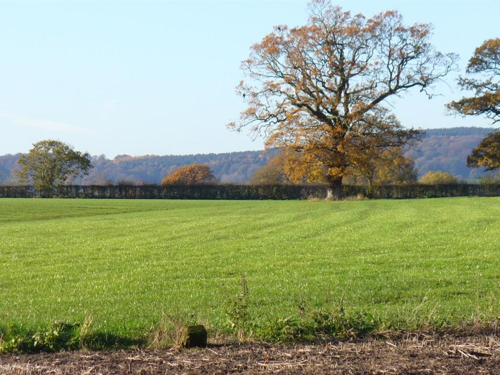 New Hall Farm Ellesmere Port Exterior foto